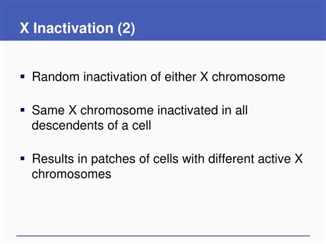 x inactivation|x inactivation definition.